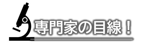 専門家の目線!