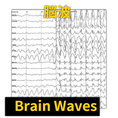 人の脳波のイメージ