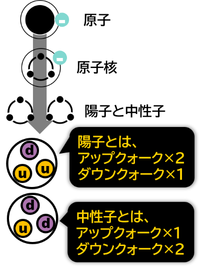 陽子と中性子のクォークとの関係の図