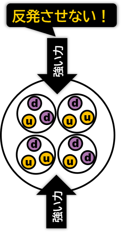 強い力の影響を示した図