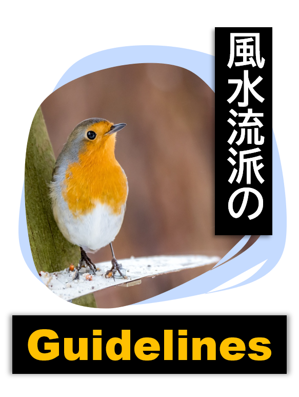 風水流派のガイドライン