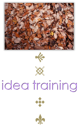 インスピレーションとアイデア