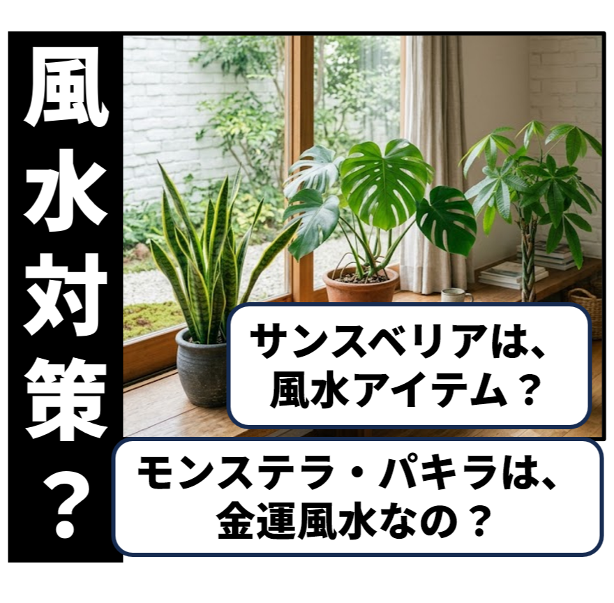 風水対策：観葉植物と金運アップ