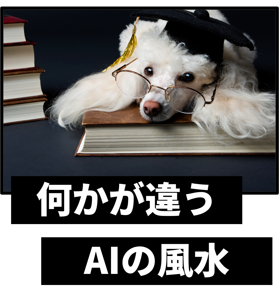 何かが違う、犬が映っている