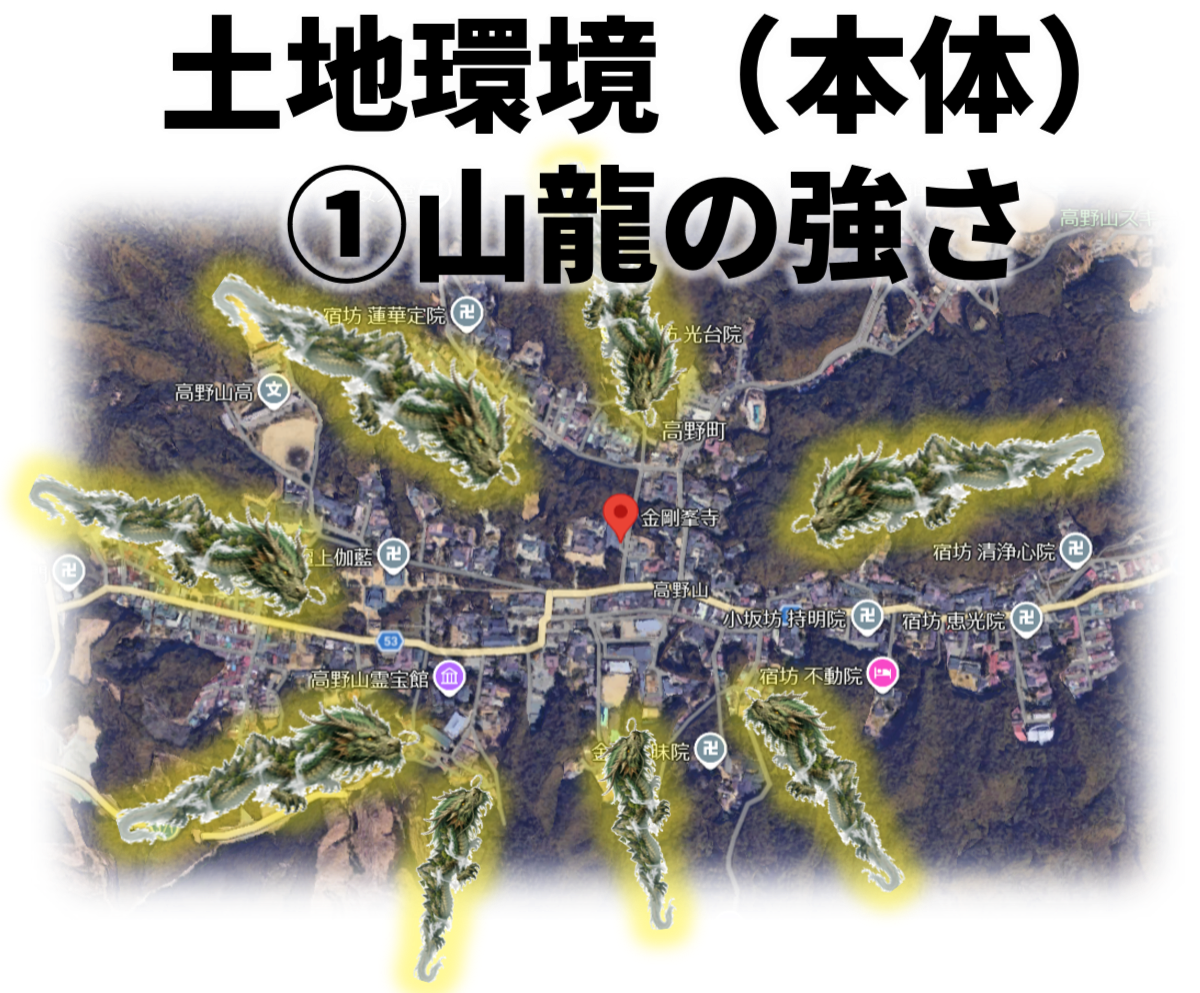 金剛峯寺の土地環境と龍の画像