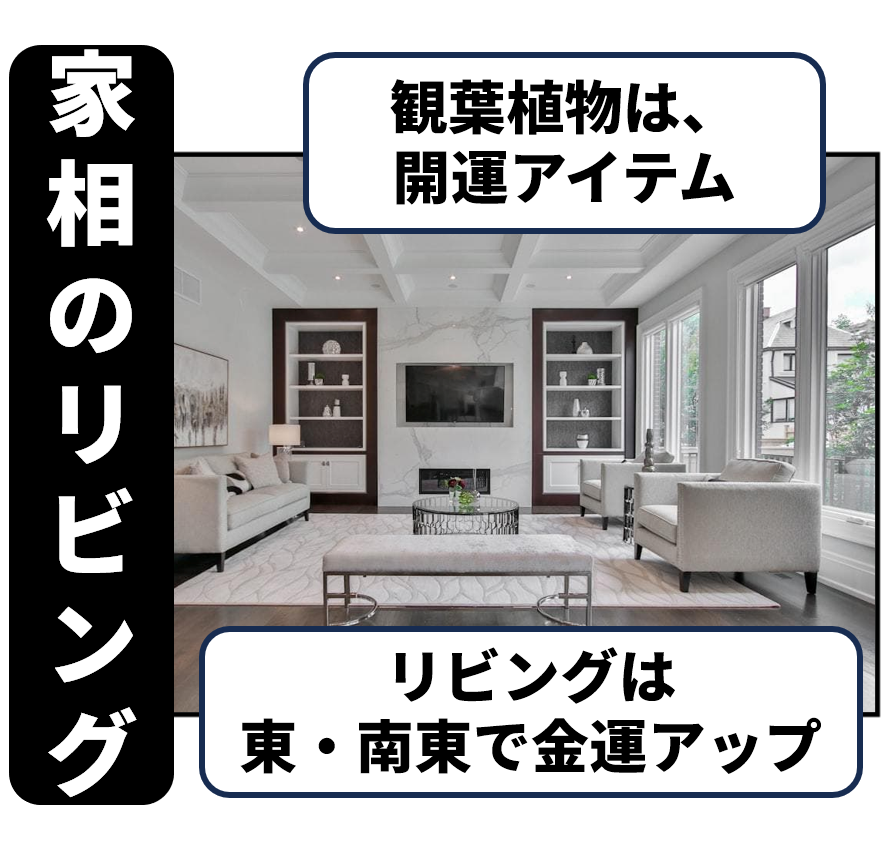 リビング：観葉植物と金運アップ