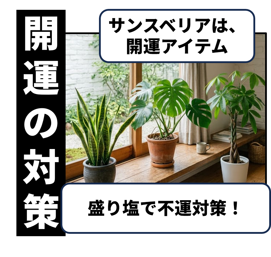 運気を上げるサンセベリア