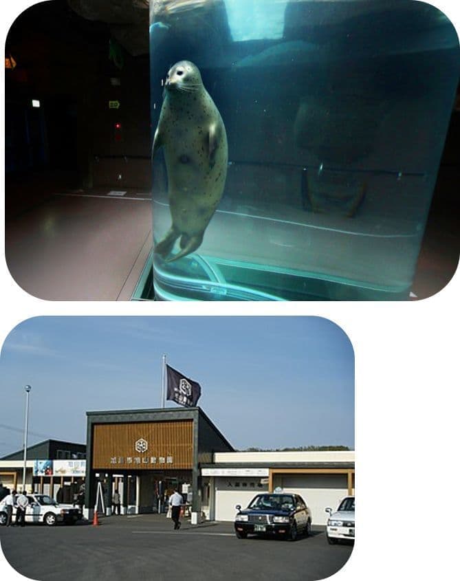 旭山動物園のイメージ画像